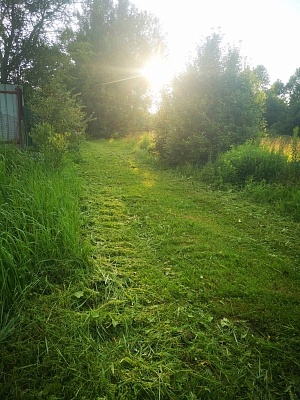 Земельный участок 16.6 соток ИЖС. 15 мин.езды до города Пскова - фото 2