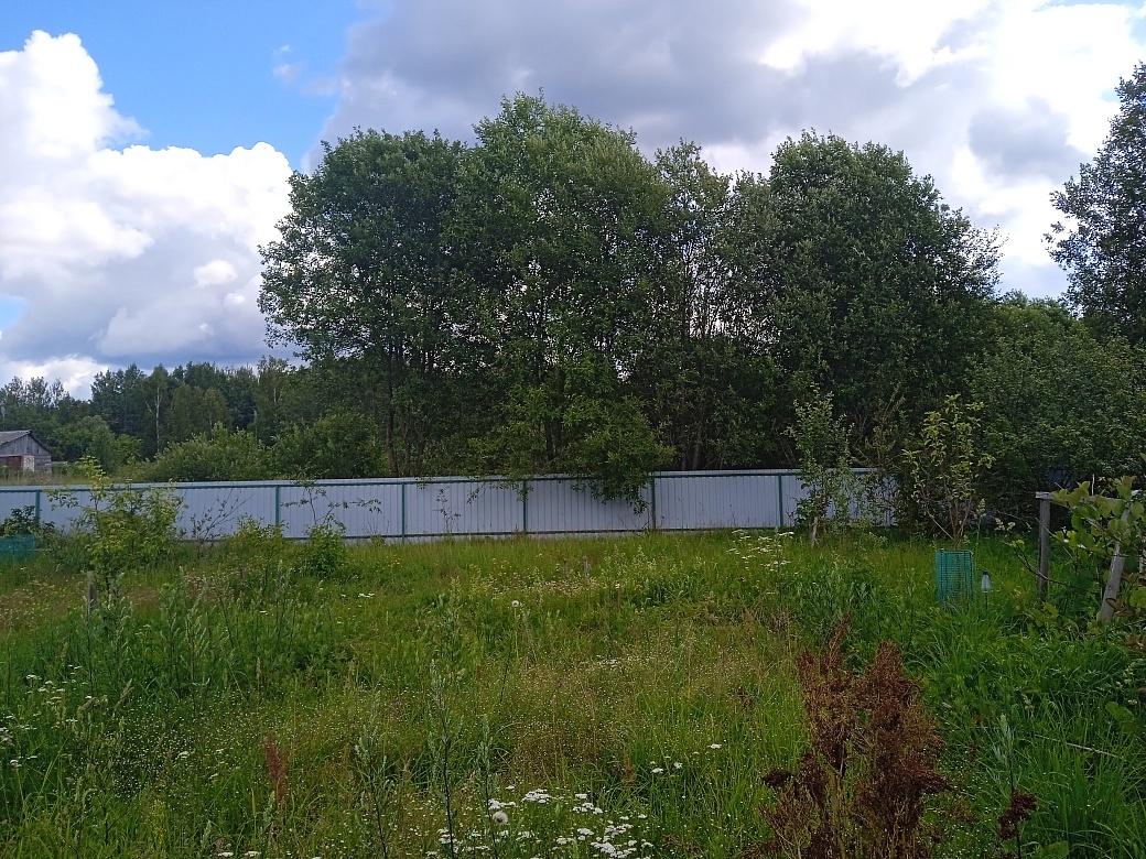 Земельный участок 16.6 соток ИЖС. 15 мин.езды до города Пскова - фото 3