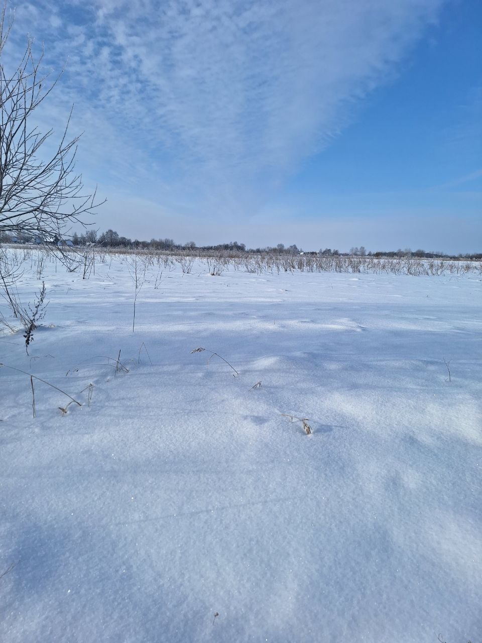 Уникальное место под отдых!  - фото 4