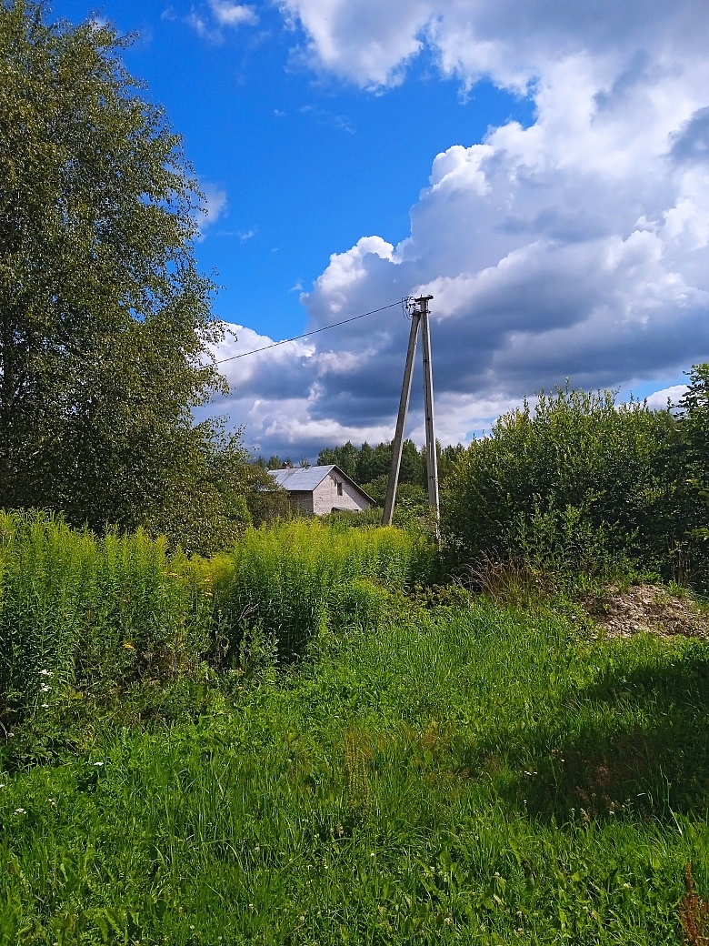 Земельный участок 16.6 соток ИЖС. 15 мин.езды до города Пскова - фото 8