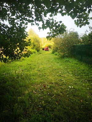 Земельный участок 16.6 соток ИЖС. 15 мин.езды до города Пскова - фото 13