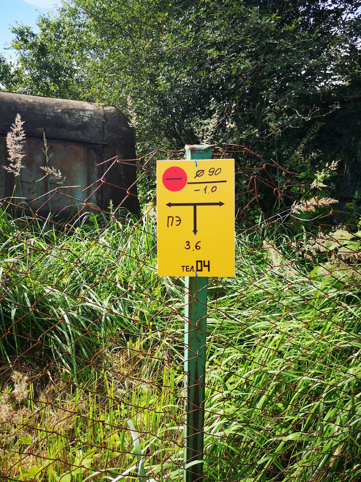 Земельный участок 16.6 соток ИЖС. 15 мин.езды до города Пскова - фото 14