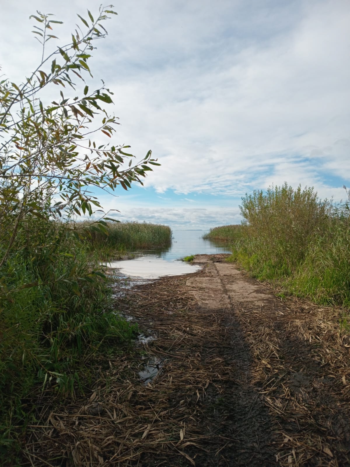 Дом в живописном и экологическом месте у озера! - фото 3
